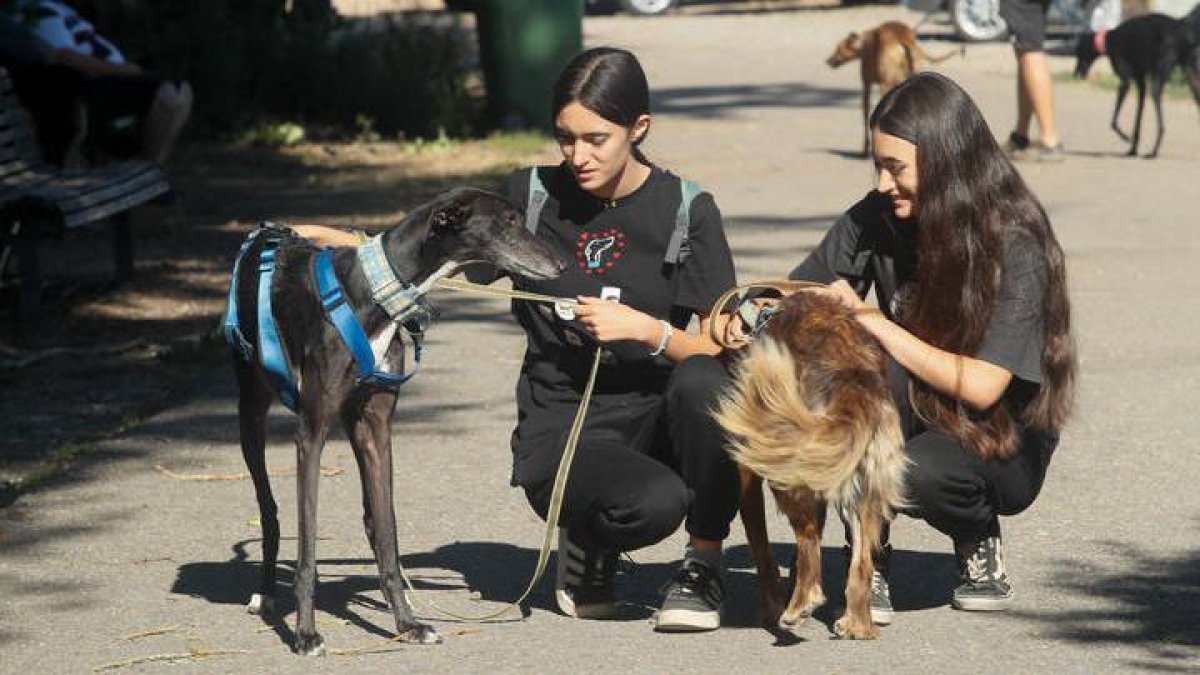 Amanda y Carol Álvarez con Tranchete y Dasher listos para ir de paseo en la Protectora de León.
