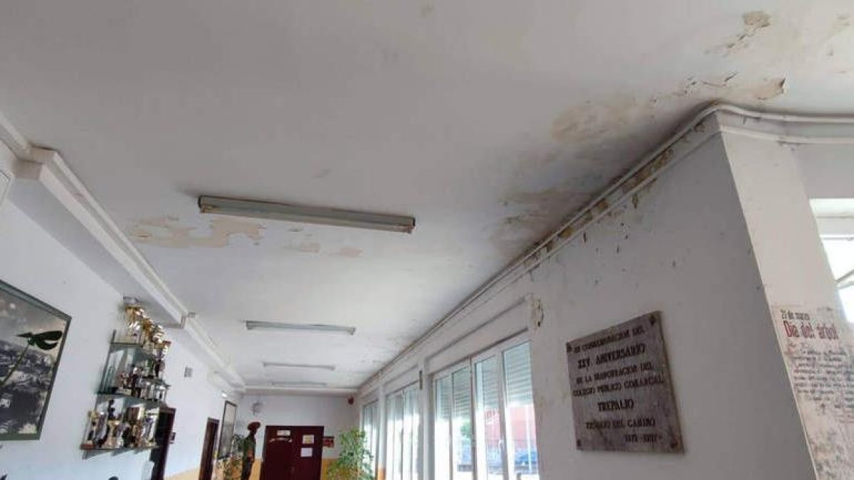 Fallos en la cubierta del Trepalio generan humedades y moho.  DL