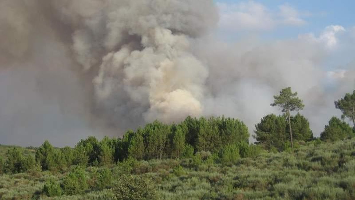 La Cepeda es una de las comarcas más afectadas por los incendios forestales. DL