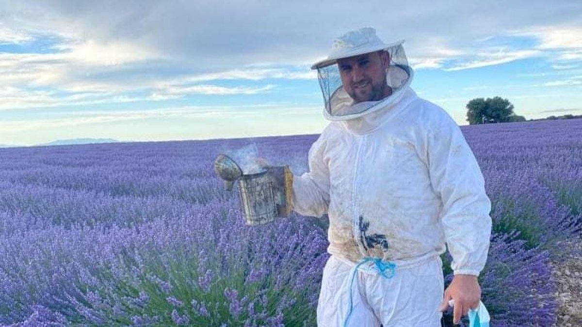 Un apicultor en un campo de lavanda.