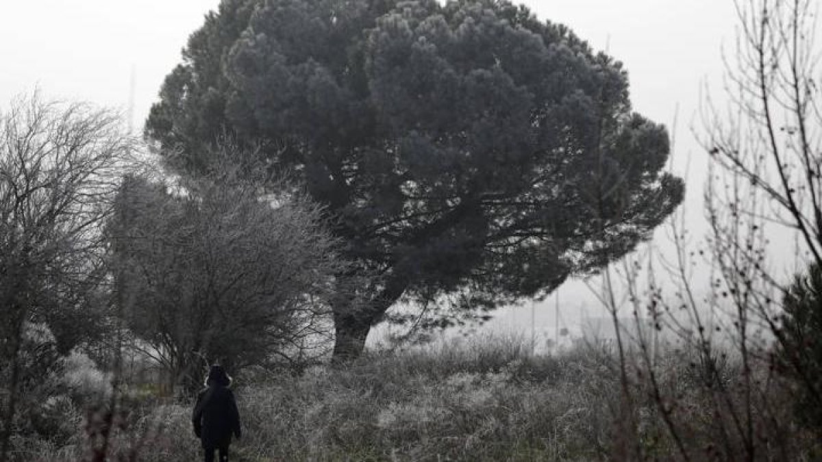 Frío en León.