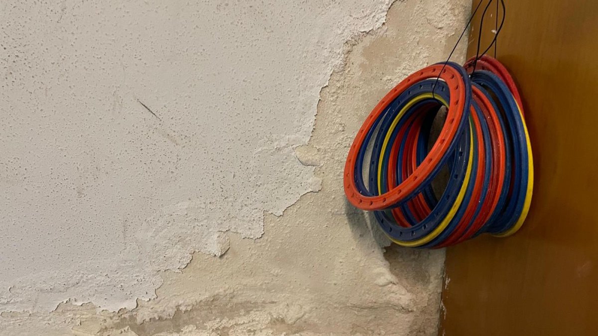 Despertectos en el colegio de La Palomera.