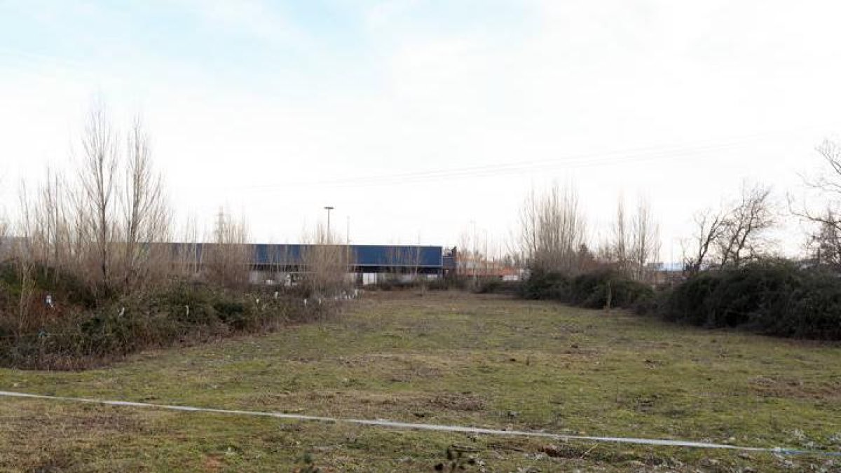 El nuevo espacio reforzará el tejido empresarial de León.