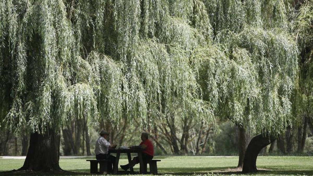 El parque de la Candamia en León.