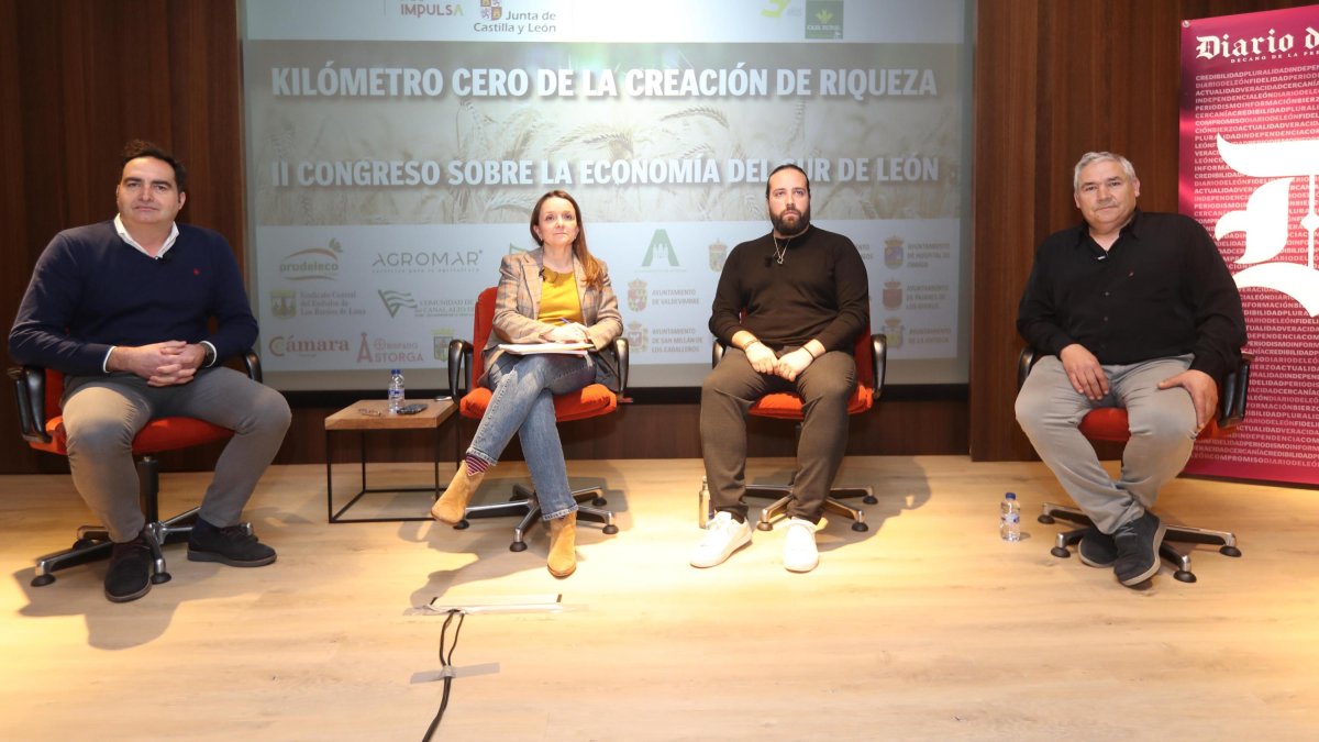 Mesa redonda 'Atraer y fijar industria en el sur de León'.