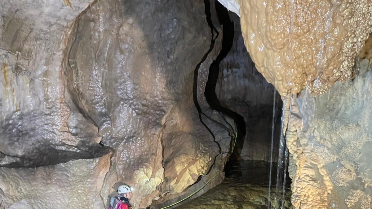 Una sección de la nueva galería.