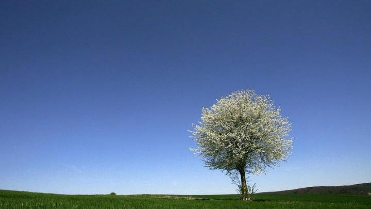 El tiempo empieza a cambiar en León. Así es la previsión para este martes