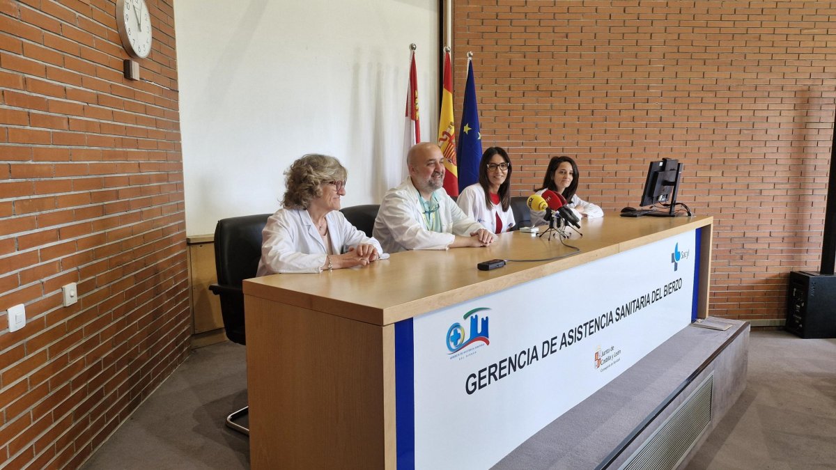 De izquierda a derecha Menéndez, de Cabo, Gurdiel y Mayo.