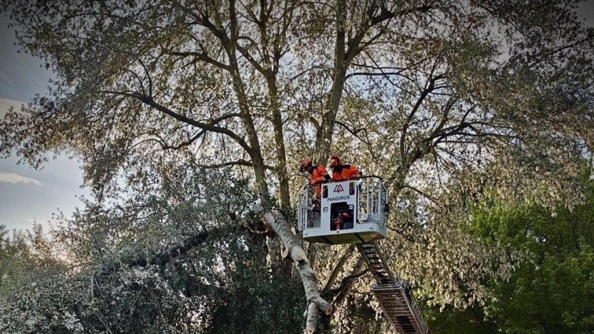 Bomberos de León tuvo que intervenir en el lugar de los hechos.