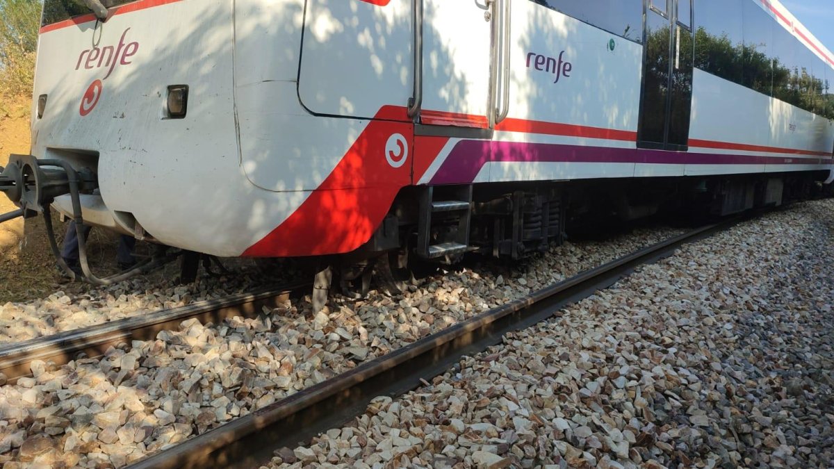 El tren Feve descarrillado en el municipio de La Ercina.