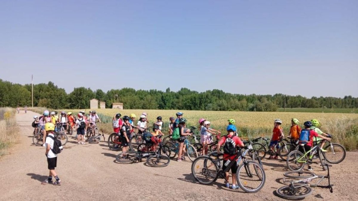 Escolares participan en una actividad extraescolar en la provincia.
