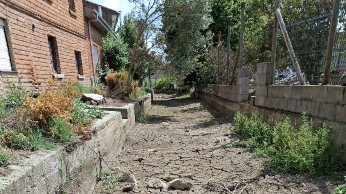 Estado de uno de los canales tras el corte de agua para los huertos y fincas urbanas.