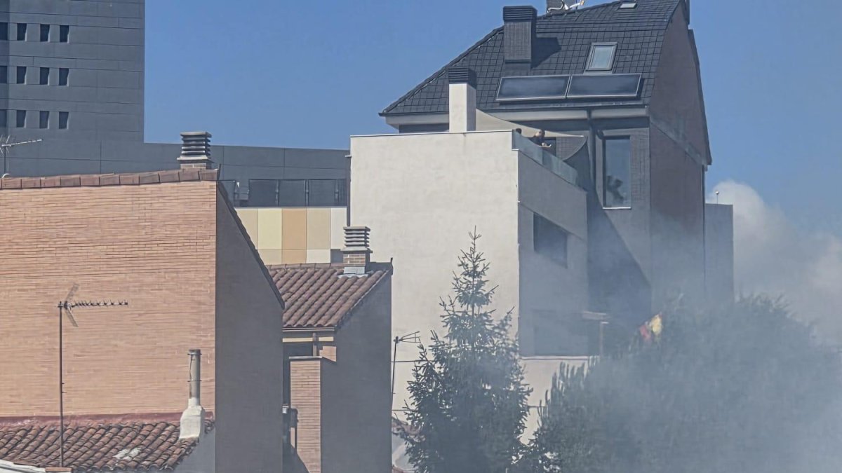El impulso biológico que guía a los pirómanos de incendios forestales