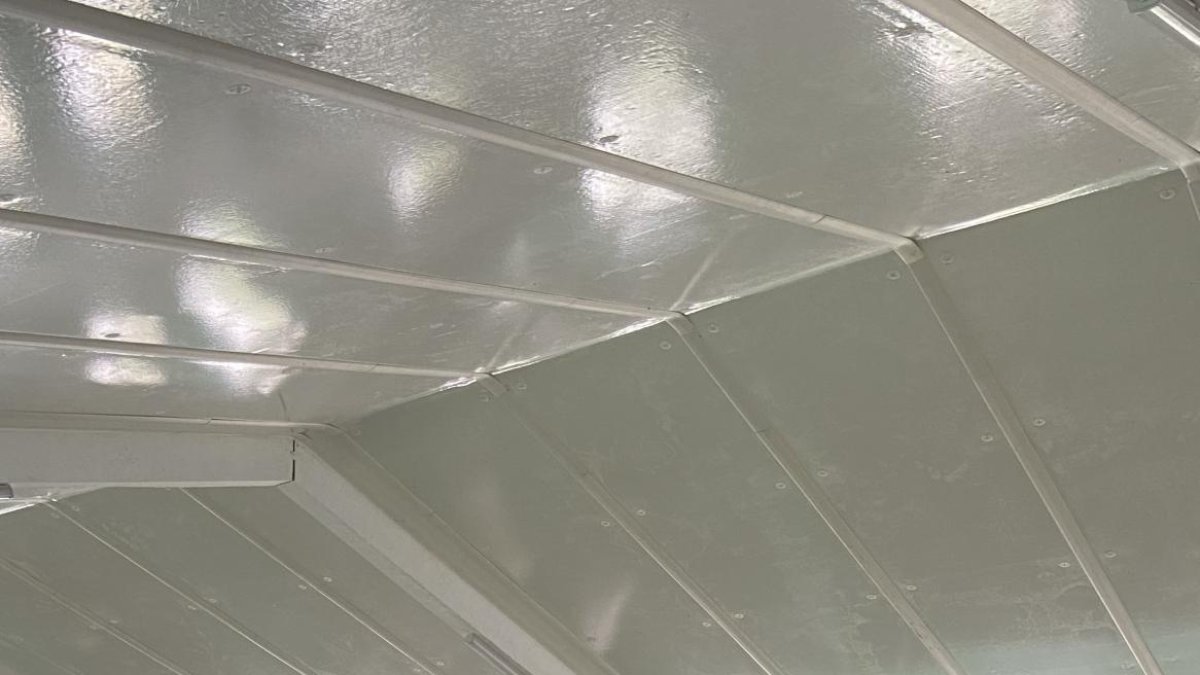 La decana y una alumna que utiliza un ecógrafo para diagnosticar la gestación en la especie porcina.