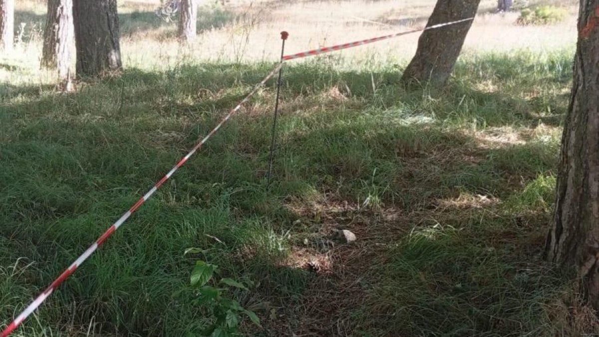 Alrededor de una hectárea del pinar de Piedrafita de Babia ha sido ya cercado por el equipo de la película.