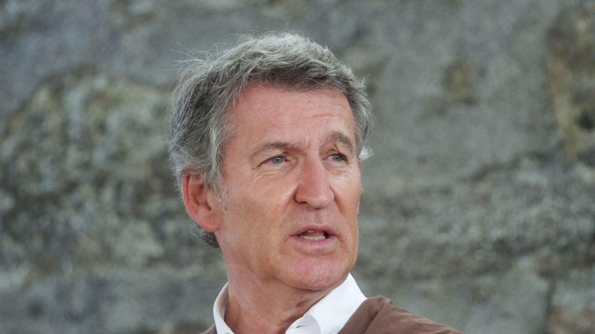 El líder del PP, Alberto Núñez Feijóo.