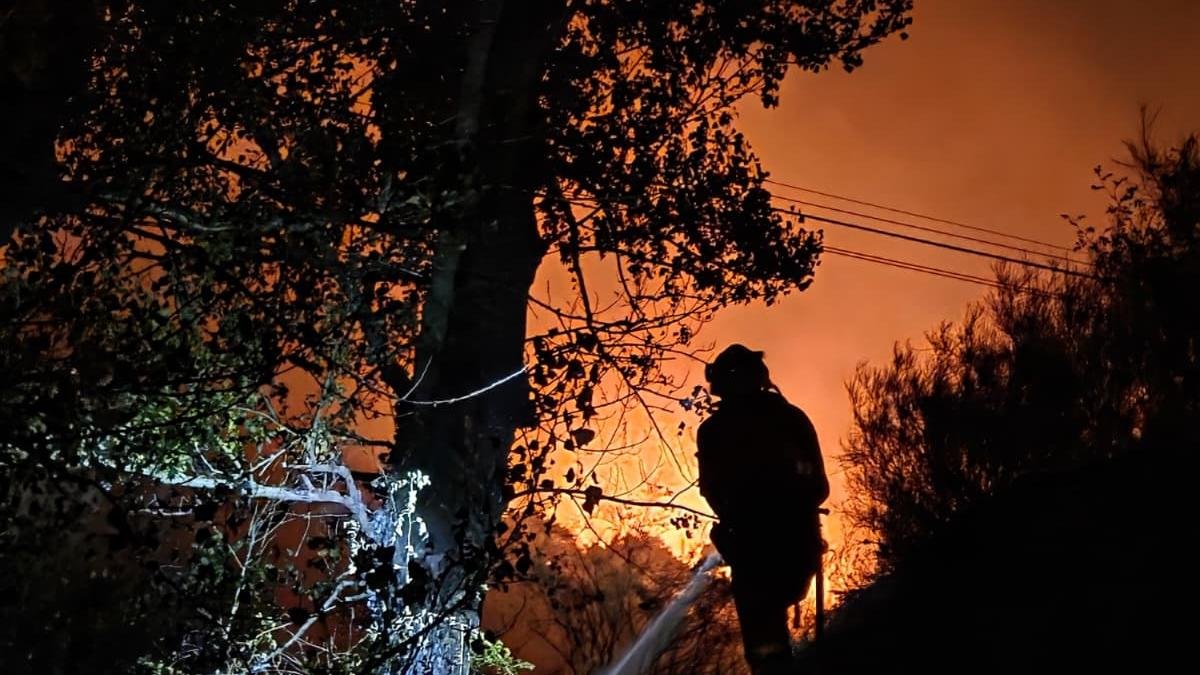 Actuación de un miembro de la UME en Barniedo.