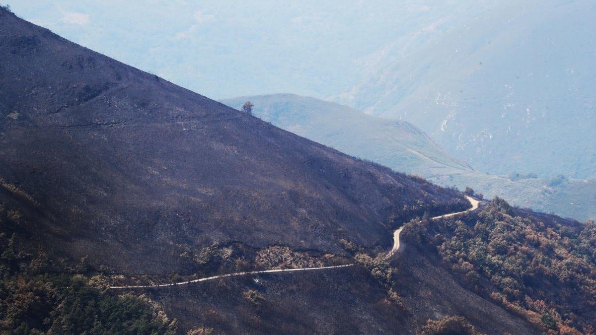 La zona a mejorar se vio afectada por el fuego.