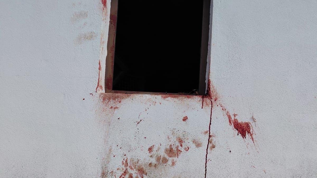 Huellas ensangrentadas del oso en la ventana de un cobertizo allanado en Laciana.