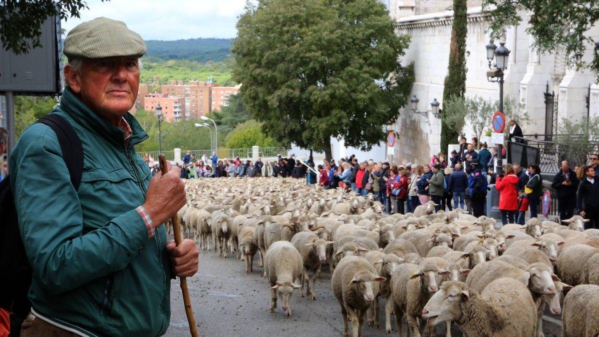 Jesús Garzón en una de las fiestas de la trashumancia en Madrid.