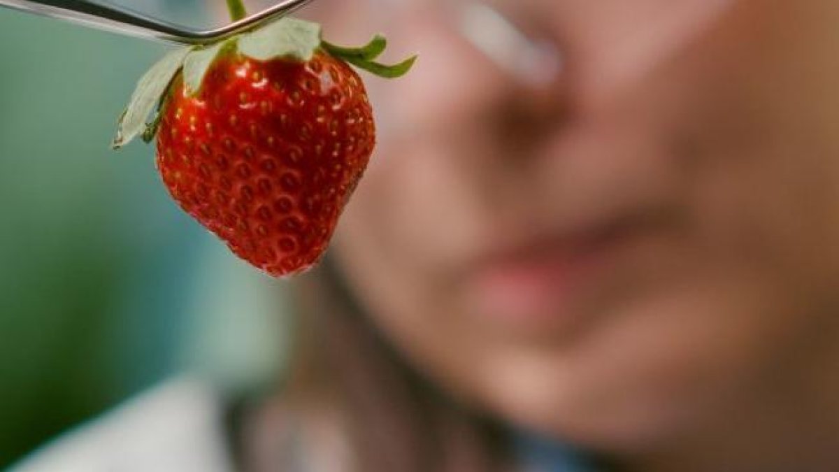 La tecnología busca alimentos más saludables.