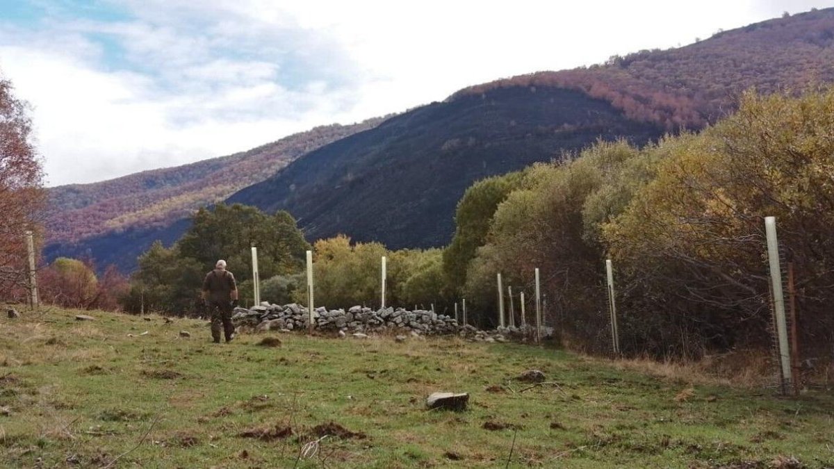 Esta semana han comenzados las labores para recuperar las zonas afectadas por el fuego.