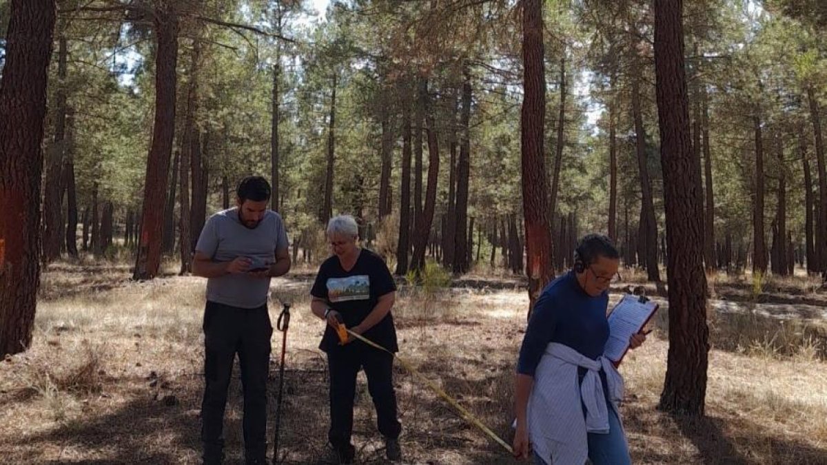 Integrantes del grupo de investigación, en trabajo de campo.