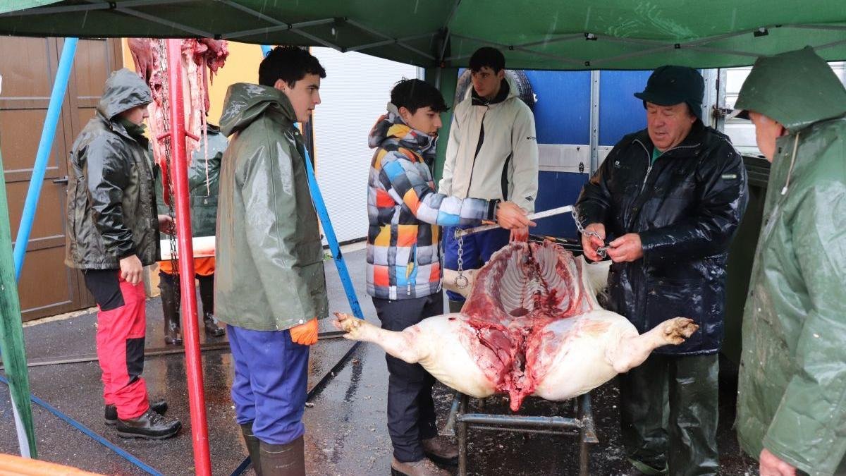 Los más jovenes van tomando el relevo en la matanza.