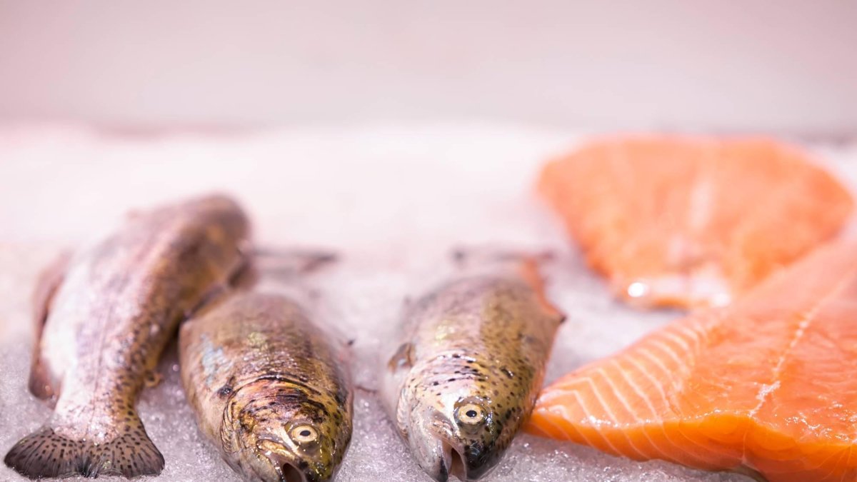 El pescado, considerado uno de los alimentos más saludables, puede contener microplásticos tras haber ingerido residuos presentes en el océano