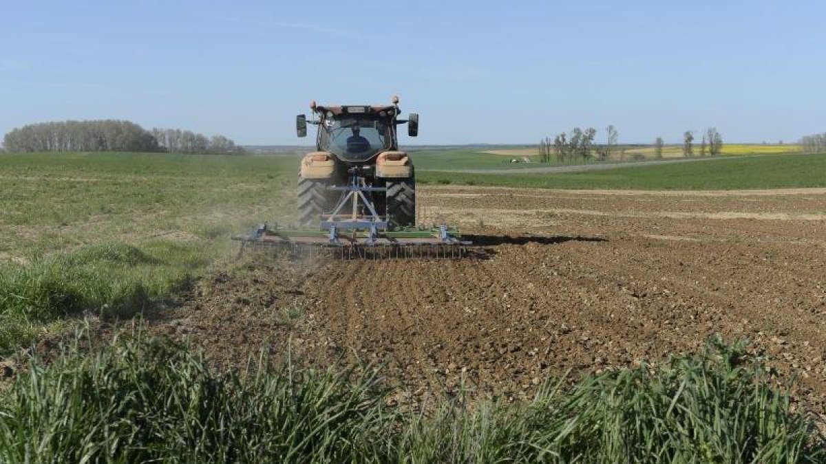 Terrenos agrícolas en Valderas.