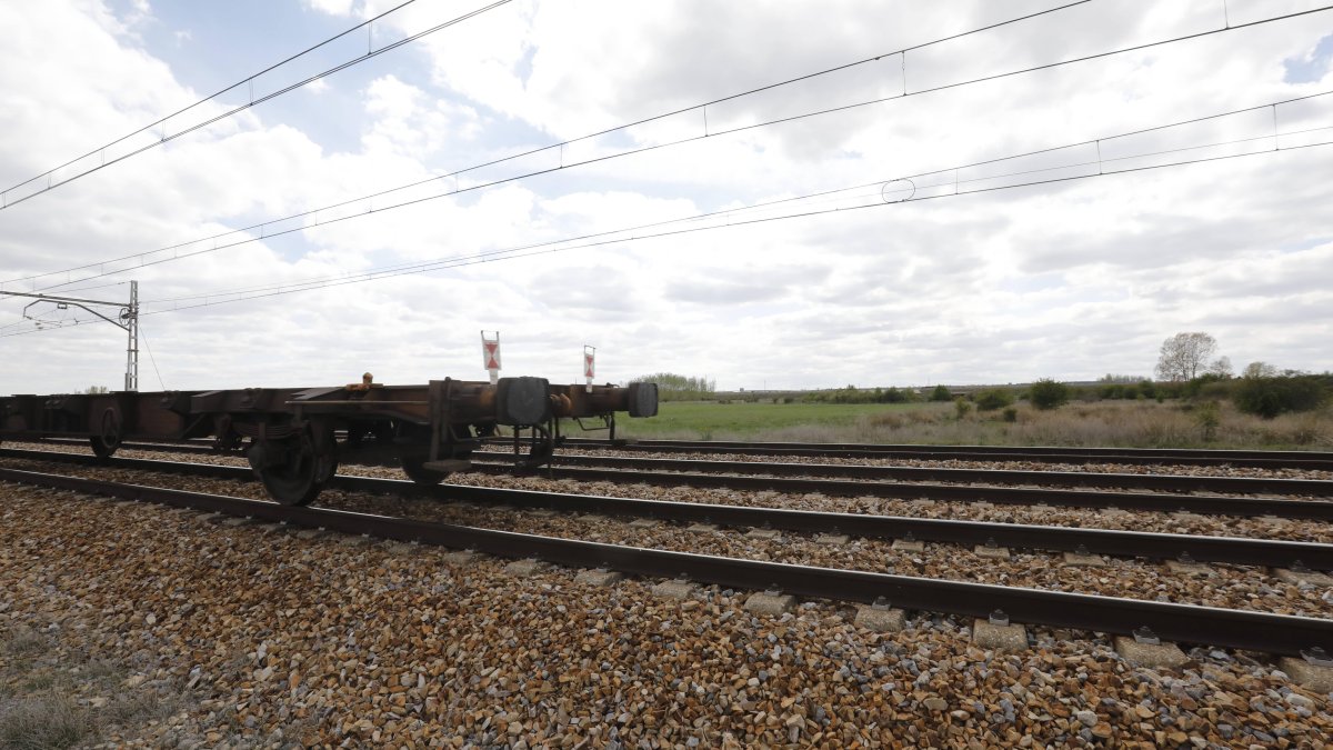 Plataforma de Torneros