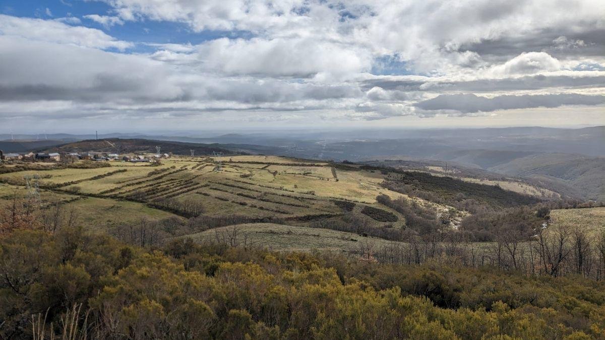 Zona de monte en Foncebadón tratado con los planes silvopastorales.
