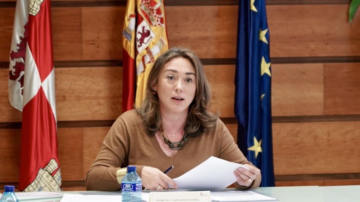La consejera, durante la reunión del Consejo de Gobierno.