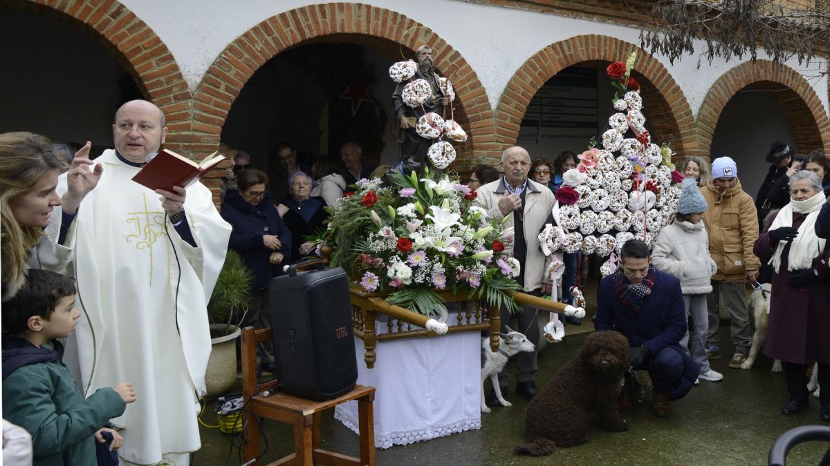 Fiesta de San Antón en la provincia de León.
