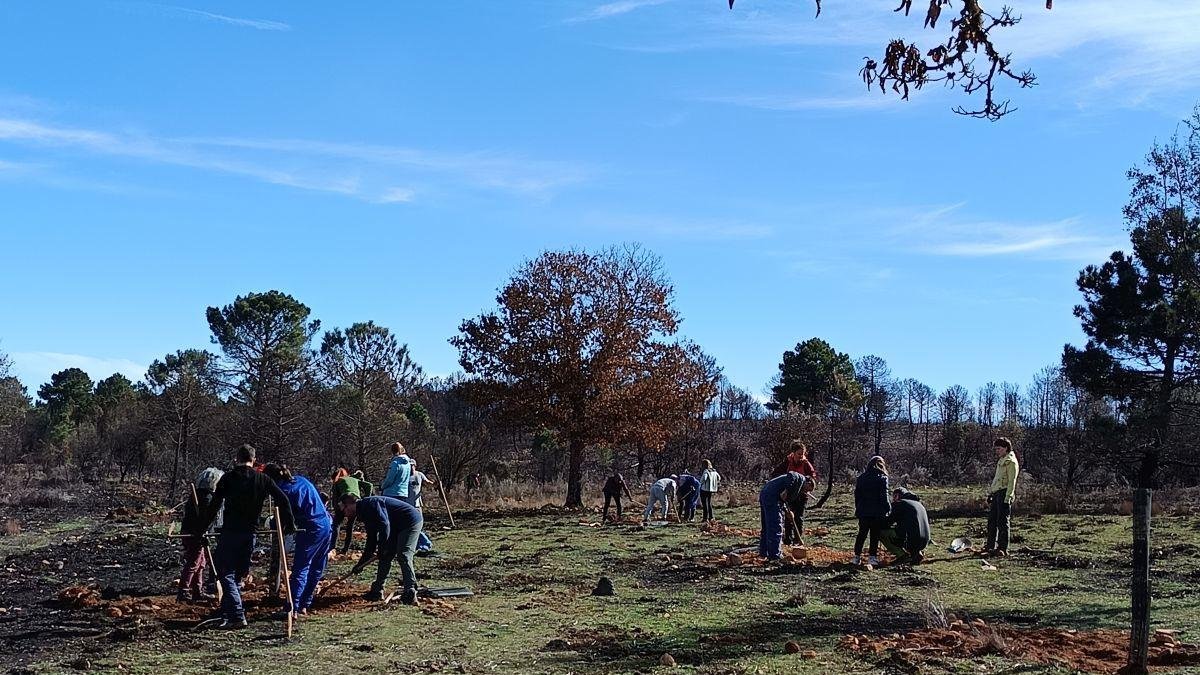 Labores de reforestación de ayer en el Eria.