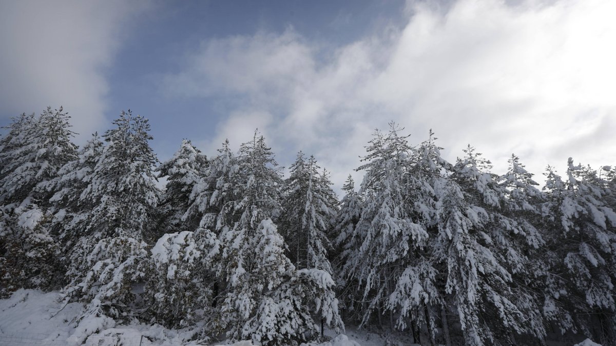 La nieve volverá a León esta semana.