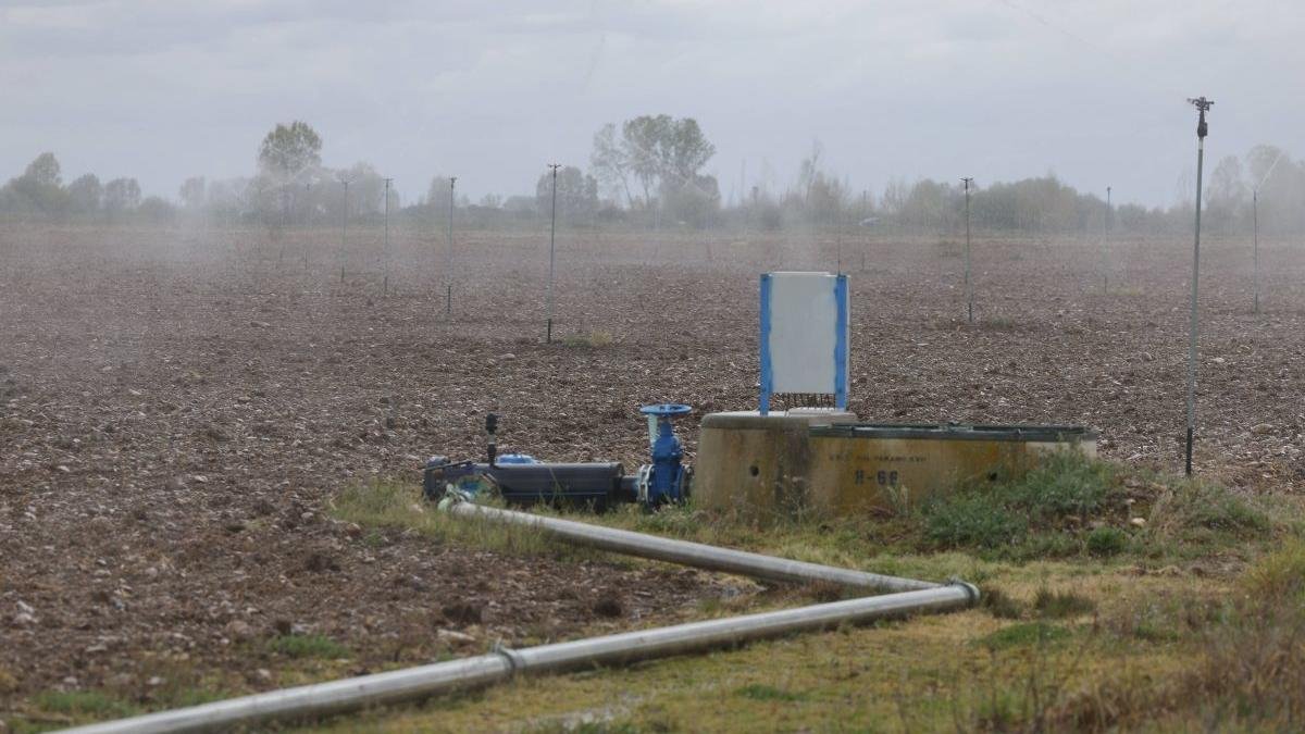 Regadío en una tierra de cultivo de remolacha en el Páramo leonés.