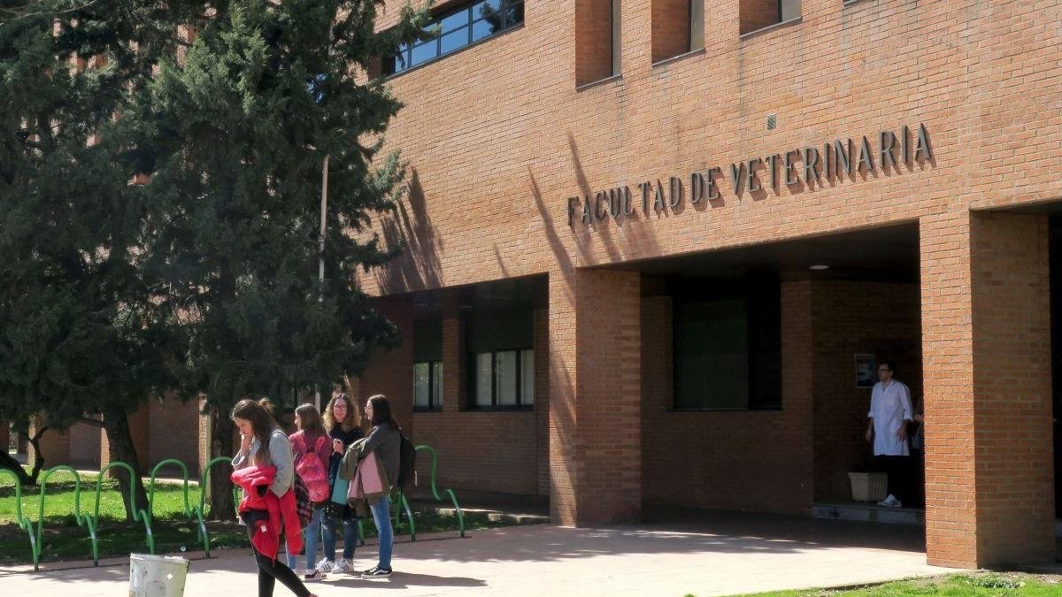 Un grupo de alumnos a la puerta de la Facultad de Veterinaria de León.