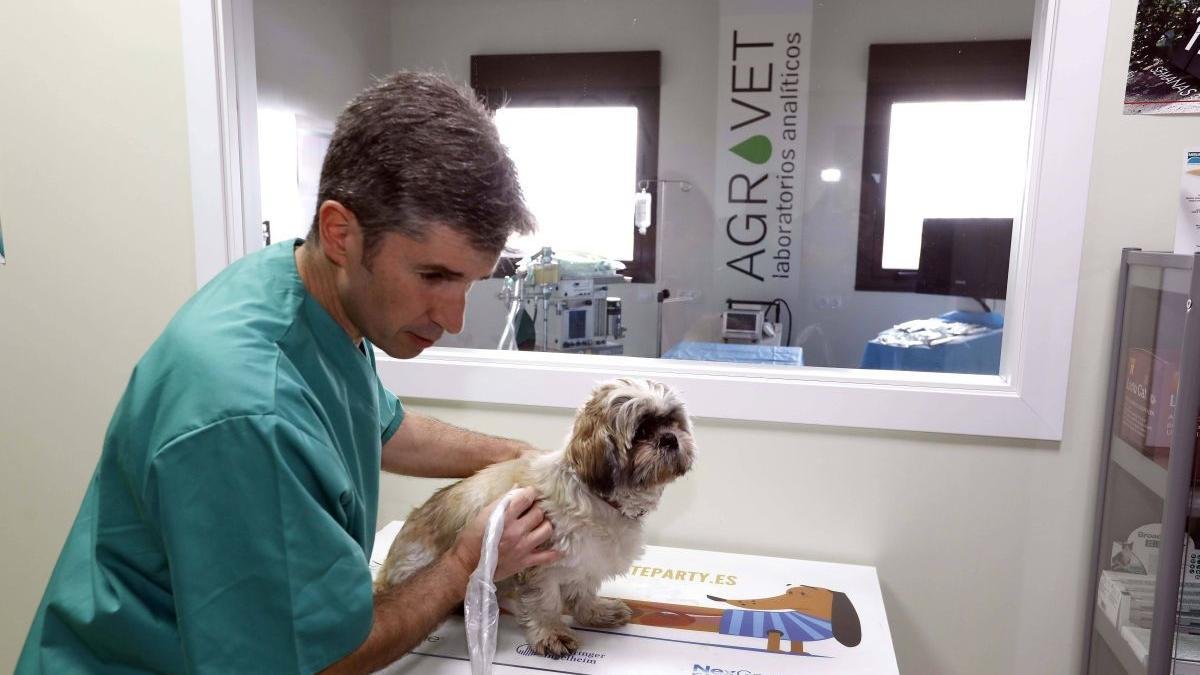 La clínica cuenta con unas modernas instalaciones en Mansilla Mayor para el cuidado de todo tipo de mascotas.