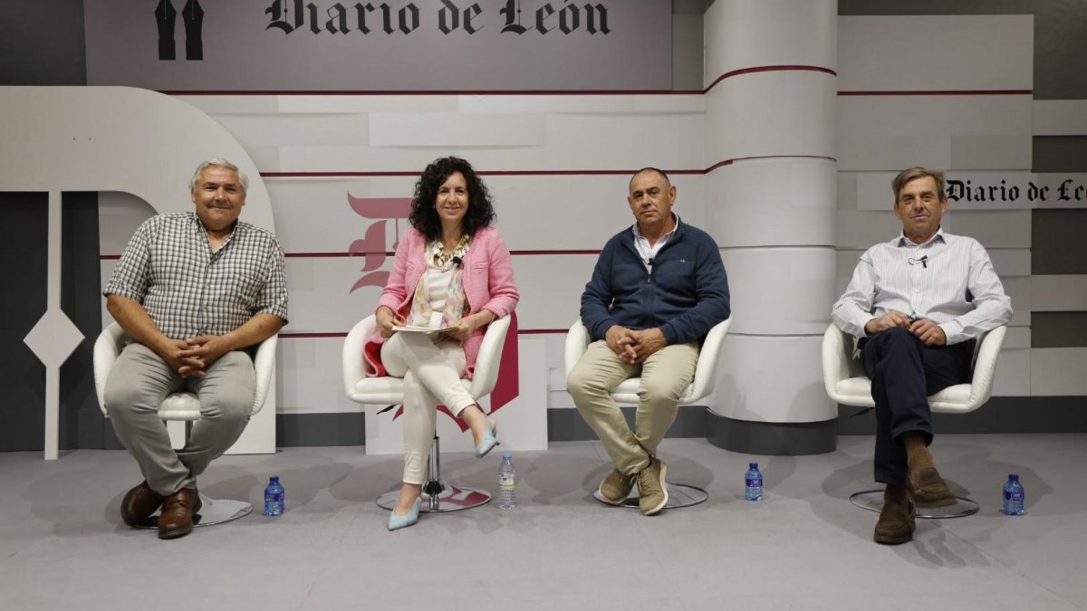 Javier Alonso, Ana Gil, Maximino Pérez y Arsenio García  