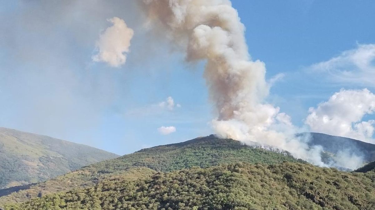 Un incendio en Benuza pone en alerta a la Cabrera