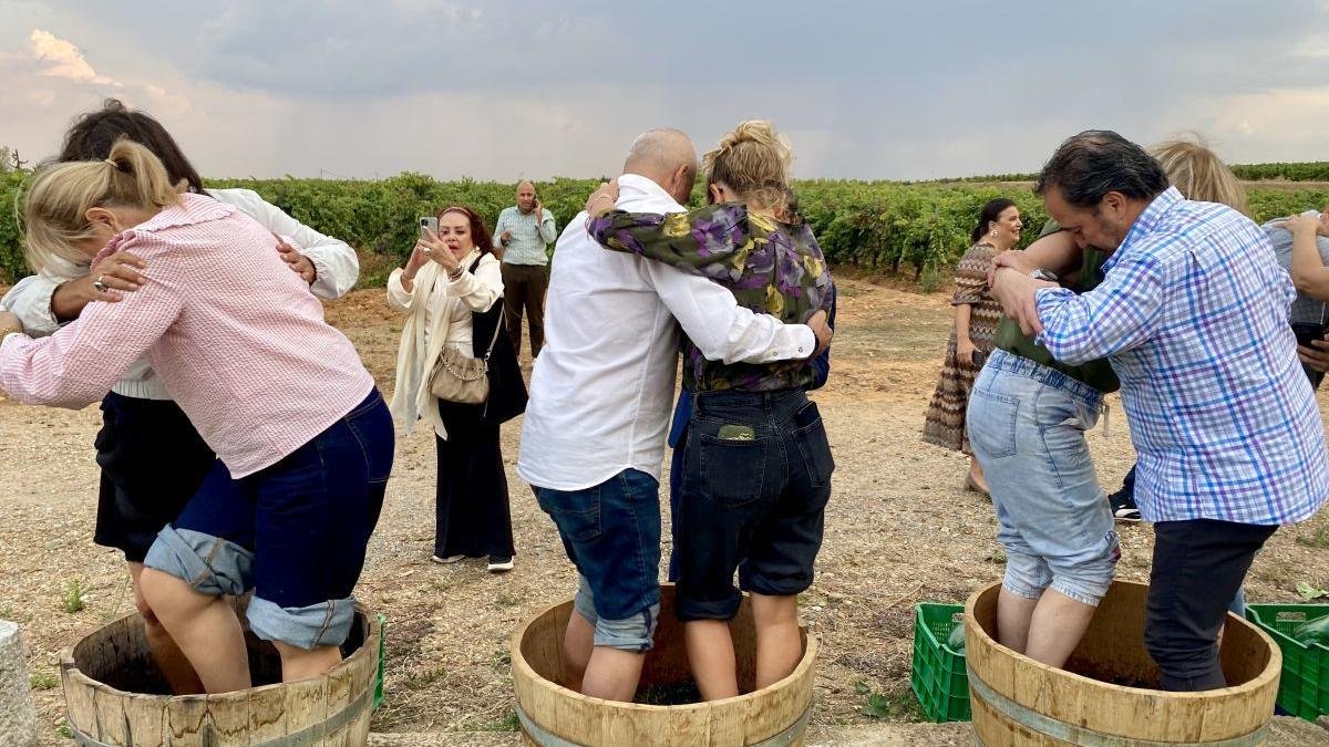 León ya se estrena como Ruta del Vino con un nuevo plan turístico