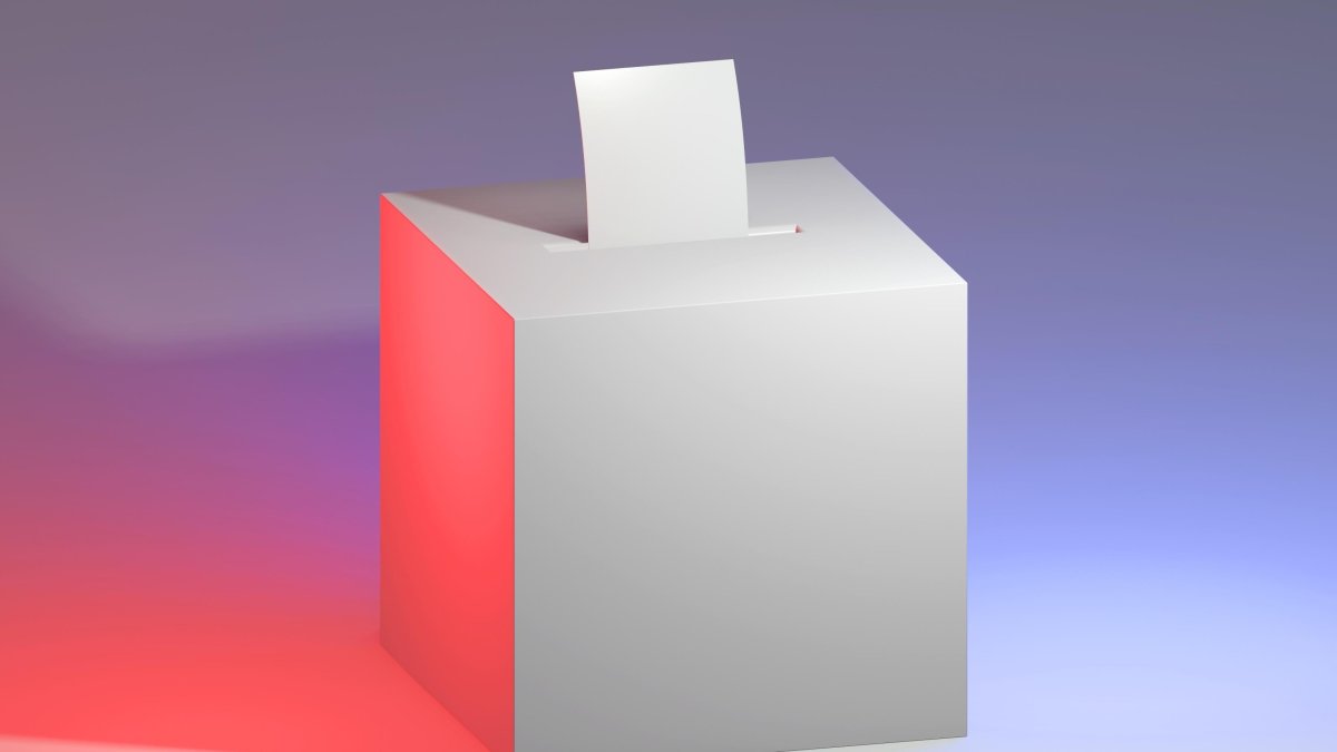 La urna virtual del 29-N.
