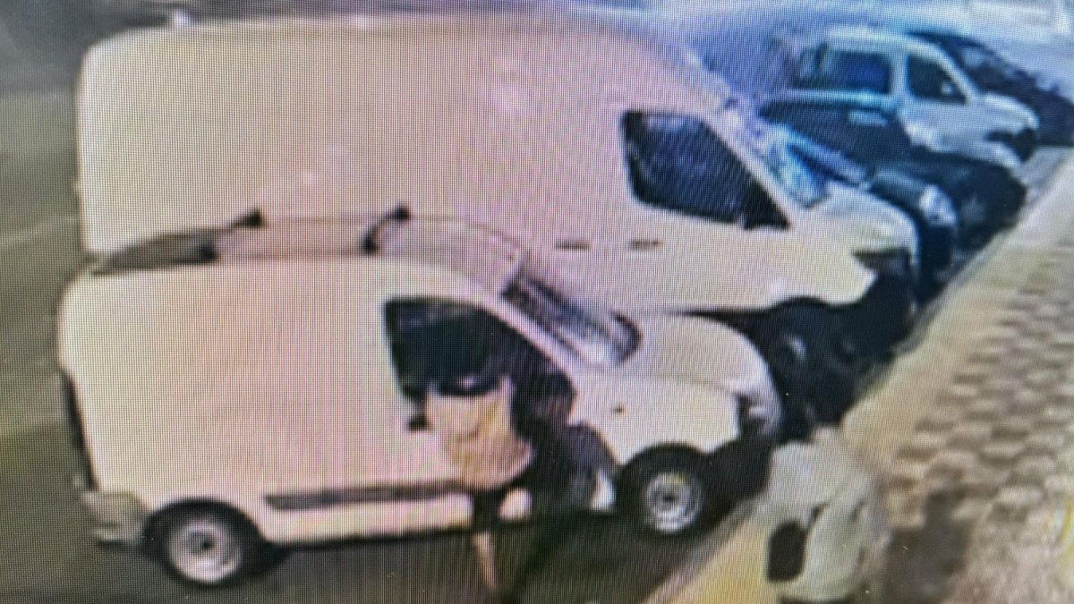 Imagen captada por una cámara de seguridad en la que se aprecia al presunto autor de los hechos.