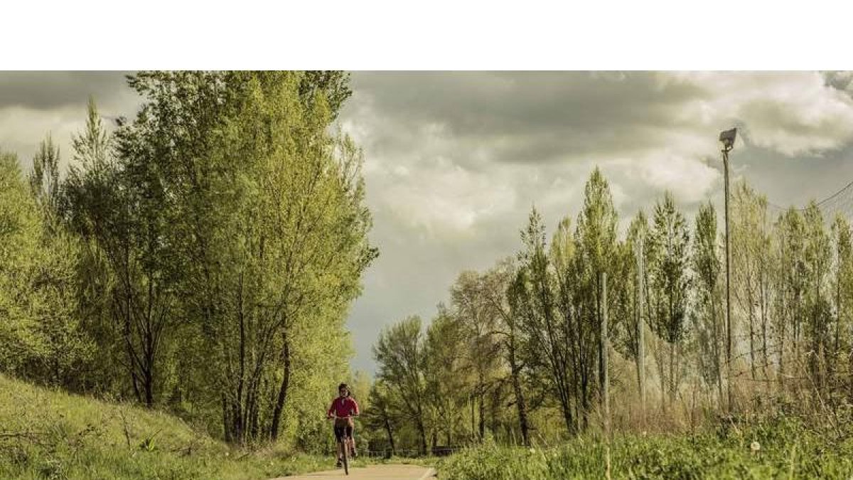 La senda peatonal y carril-bici que conecta Villaobispo de las Regueras con Villanueva del Árbol representa un baño de plena naturaleza. RAMIRO