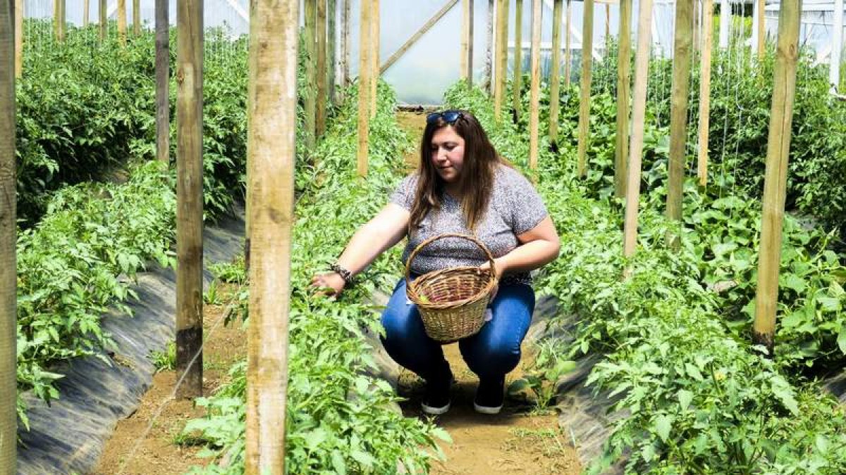 Una mujer trabaja en una explotación hortícola.