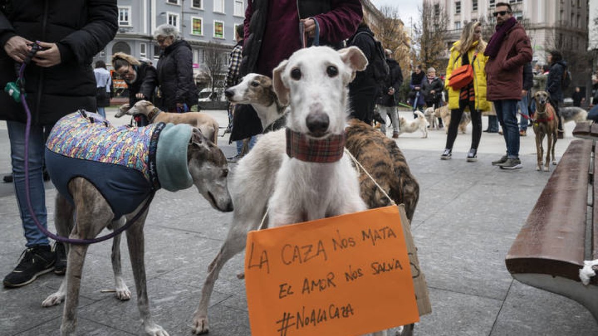 Decenas de personas acompañadas por sus perros durante una protesta en Santander. ROMÁN G. AGUILERA
