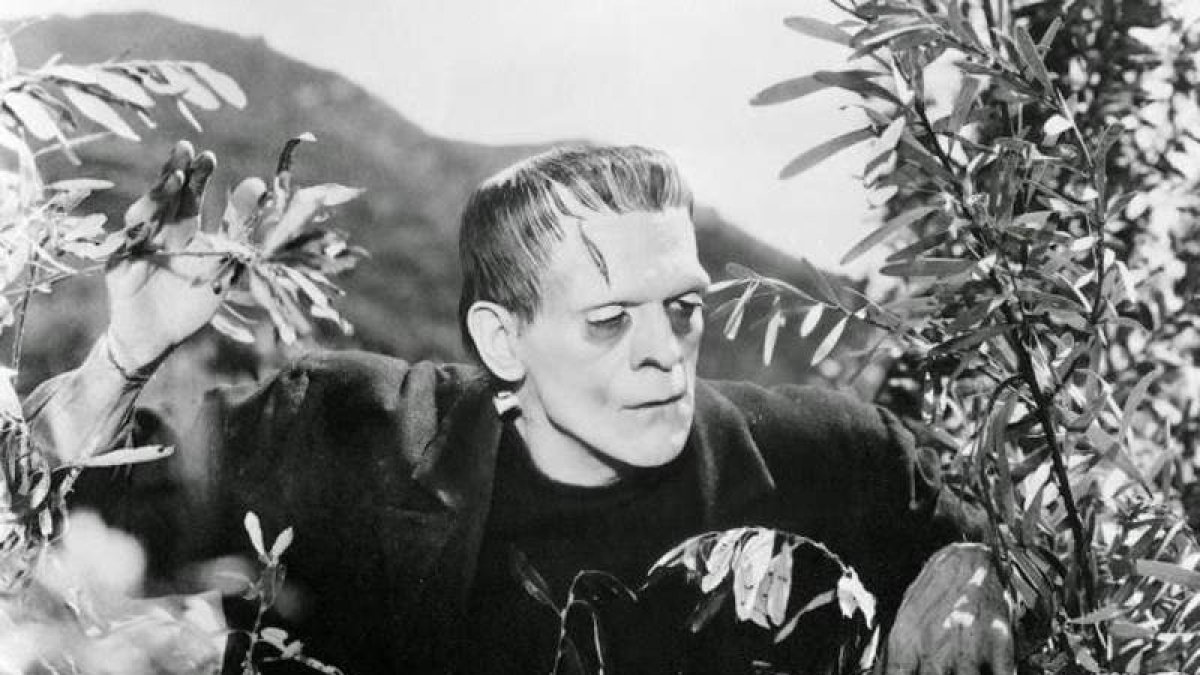 Frankestein. DL