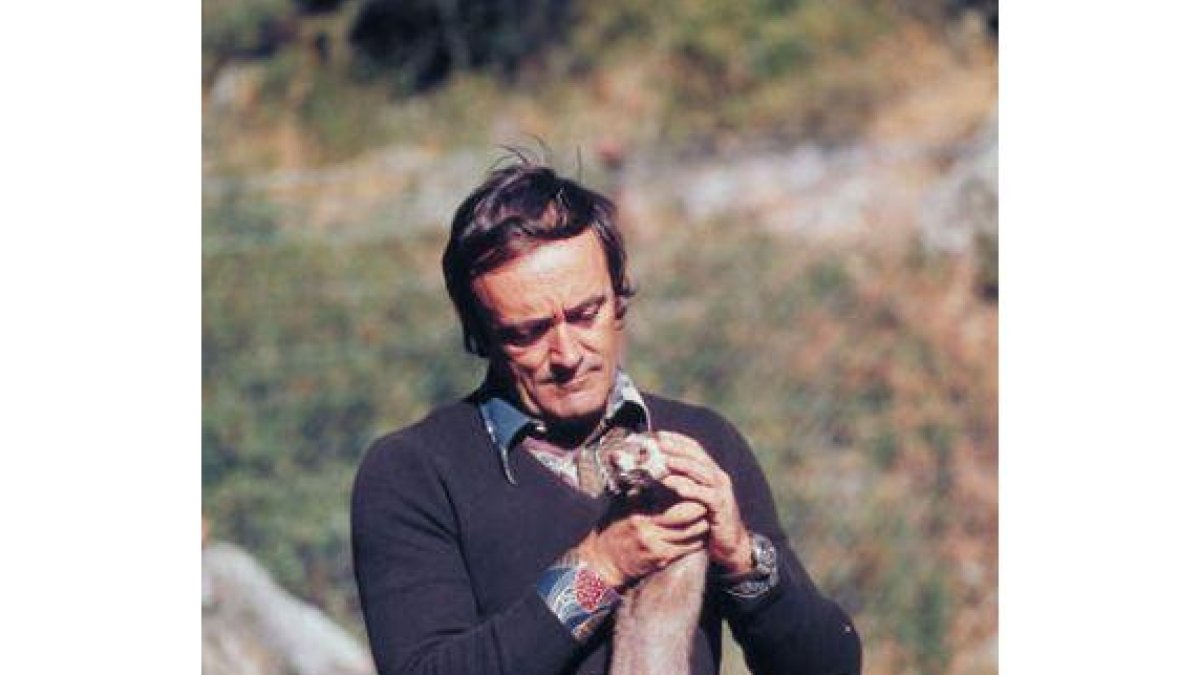 Félix Rodríguez de la Fuente sigue en la memoria colectiva de los españoles.