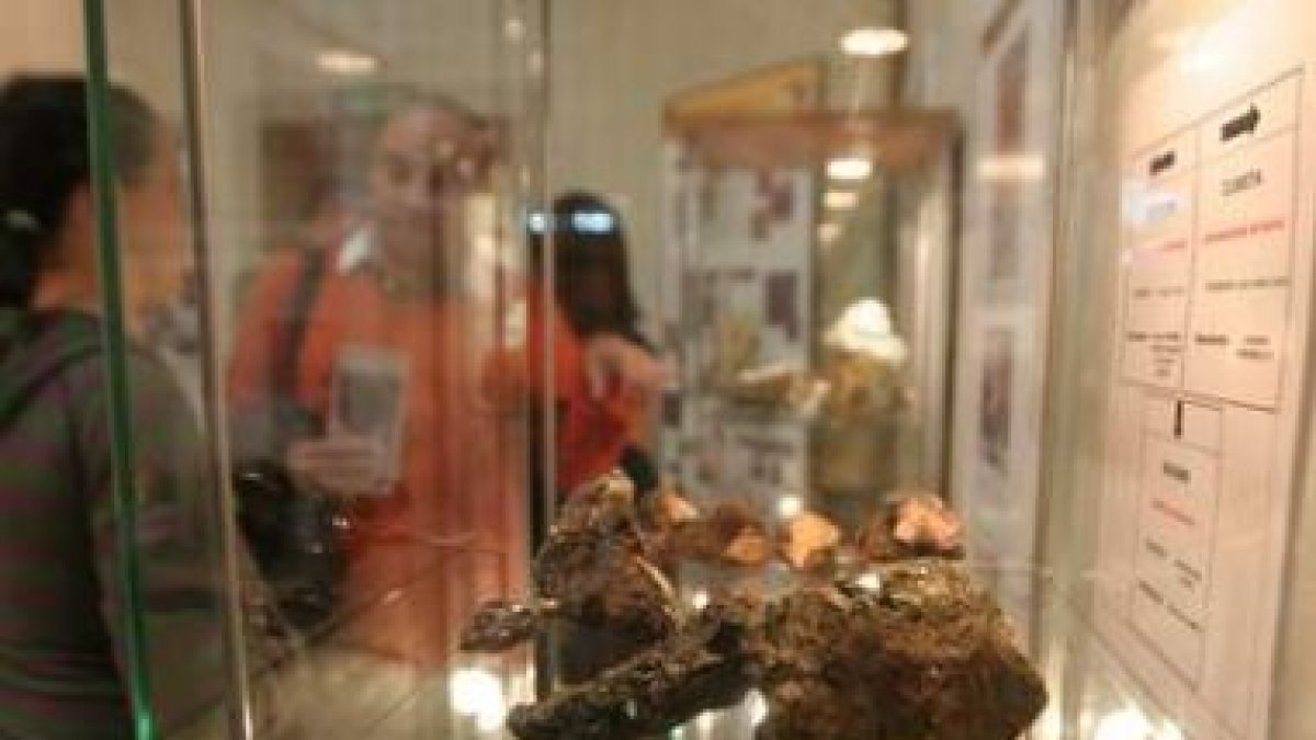 La muestra del IEB en el Museo del Bierzo está compuesta por 48 piezas.